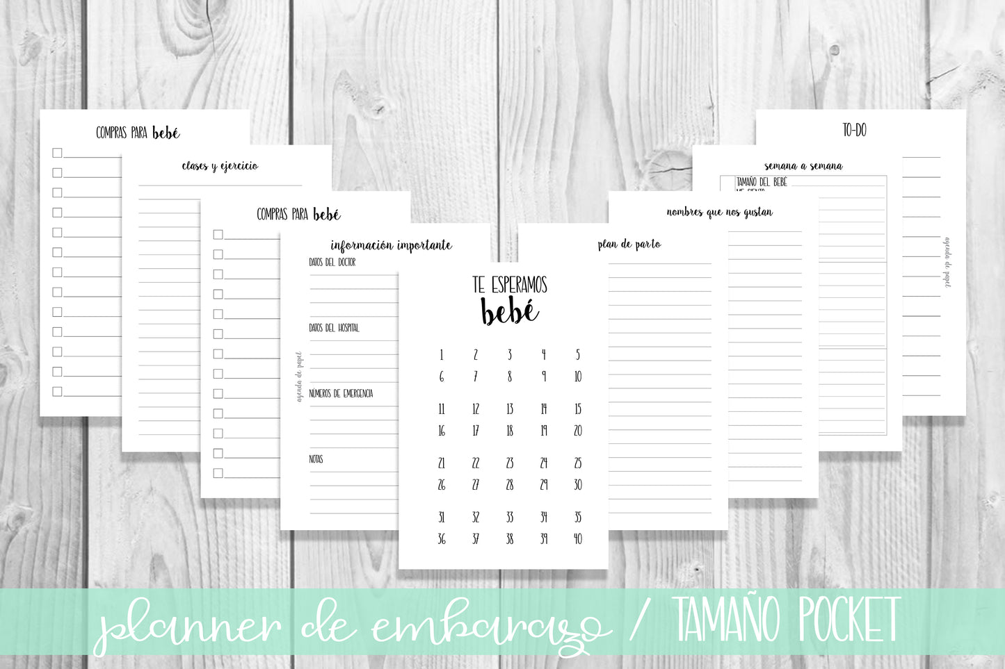 Pregnancy Planner // Paper Agenda